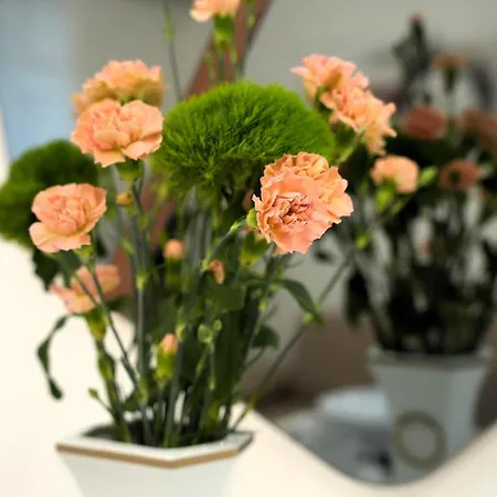 Appartamento Vigo Novi Sad